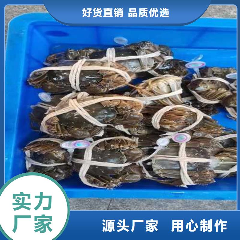 龙沙区阳澄湖大闸蟹多少钱