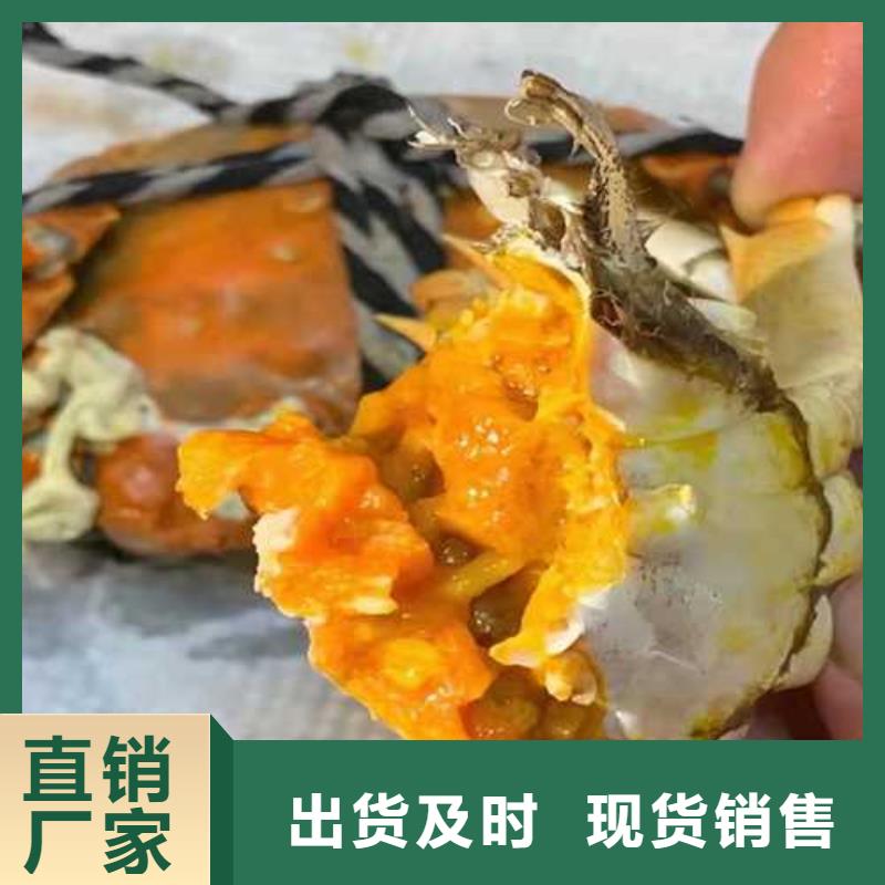 阳澄湖大闸蟹精选美味