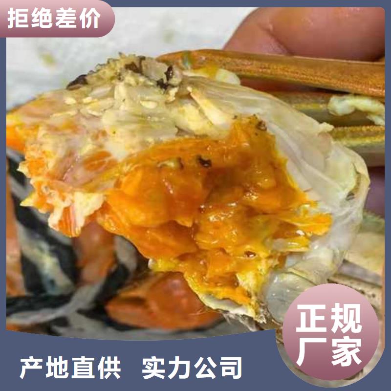 襄汾县阳澄湖大闸蟹价格