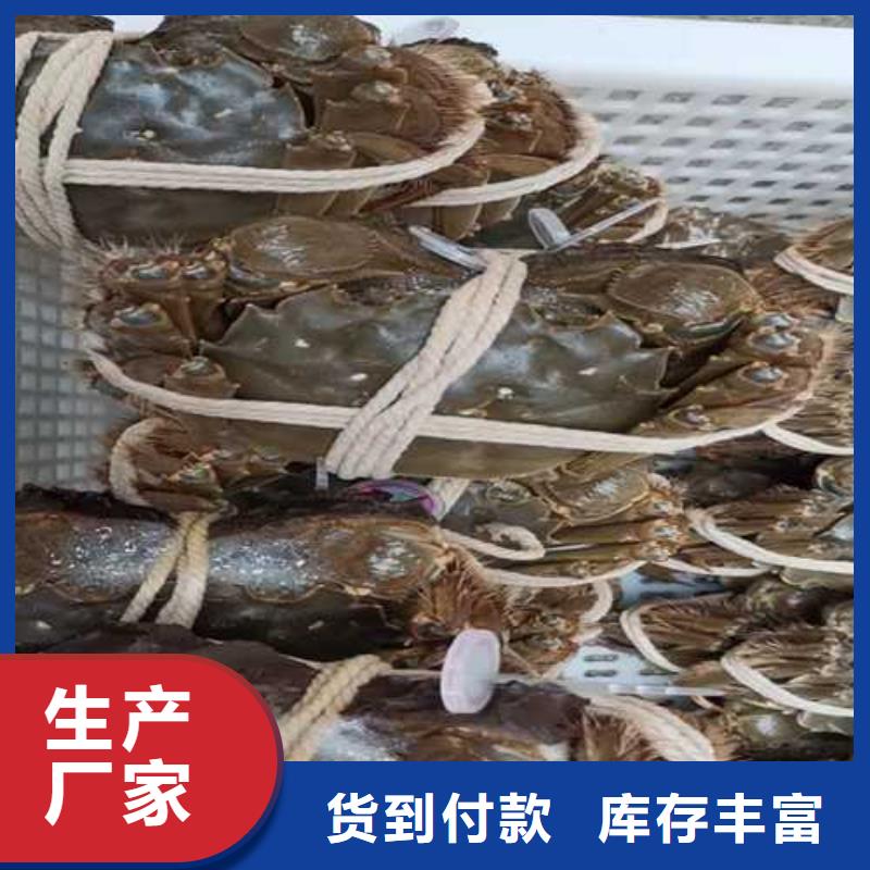 阳澄湖大闸蟹团购