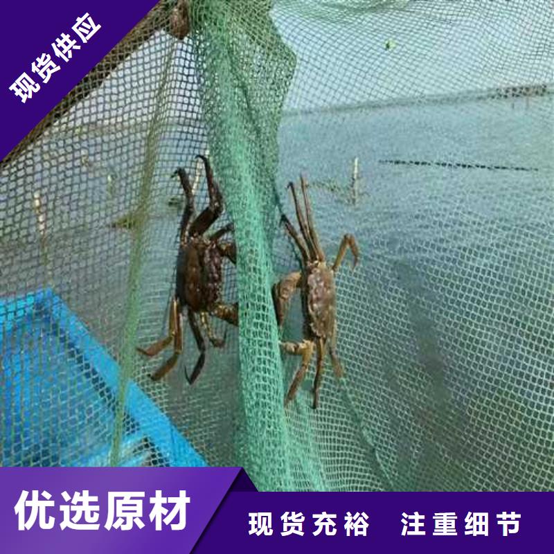 螃蟹团购价格