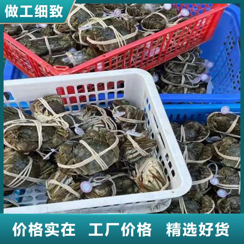 阳澄湖大闸蟹价格行情