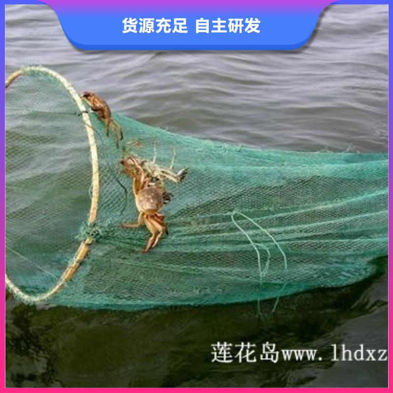 仙游县阳澄湖吃大闸蟹哪里好
