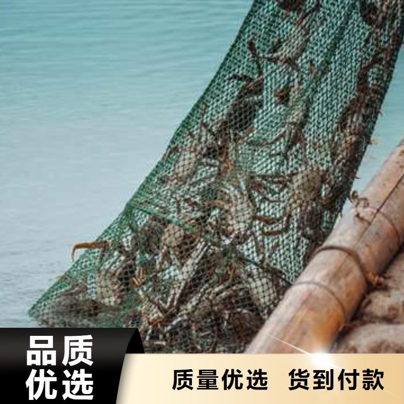阳澄湖大闸蟹订购视频-阳澄湖大闸蟹订购|鞍山市|台安|铁东|营口|锦州|沈阳|朝阳|葫芦岛|辽阳|盘锦