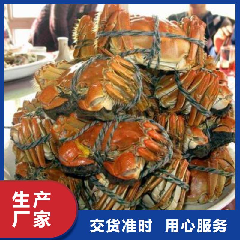 阳澄湖大闸蟹订购-视频-安徽省淮南市|谢家集|潘集|宣城|合肥|淮北|蚌埠|马鞍山|宿州|六安阳澄湖大闸蟹订购-顾记