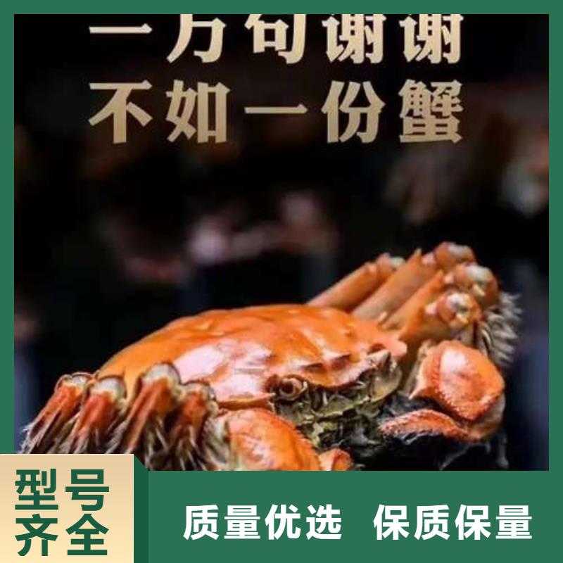 阳澄湖大闸蟹订购-视频-安徽省淮南市|谢家集|潘集|宣城|合肥|淮北|蚌埠|马鞍山|宿州|六安阳澄湖大闸蟹订购-顾记