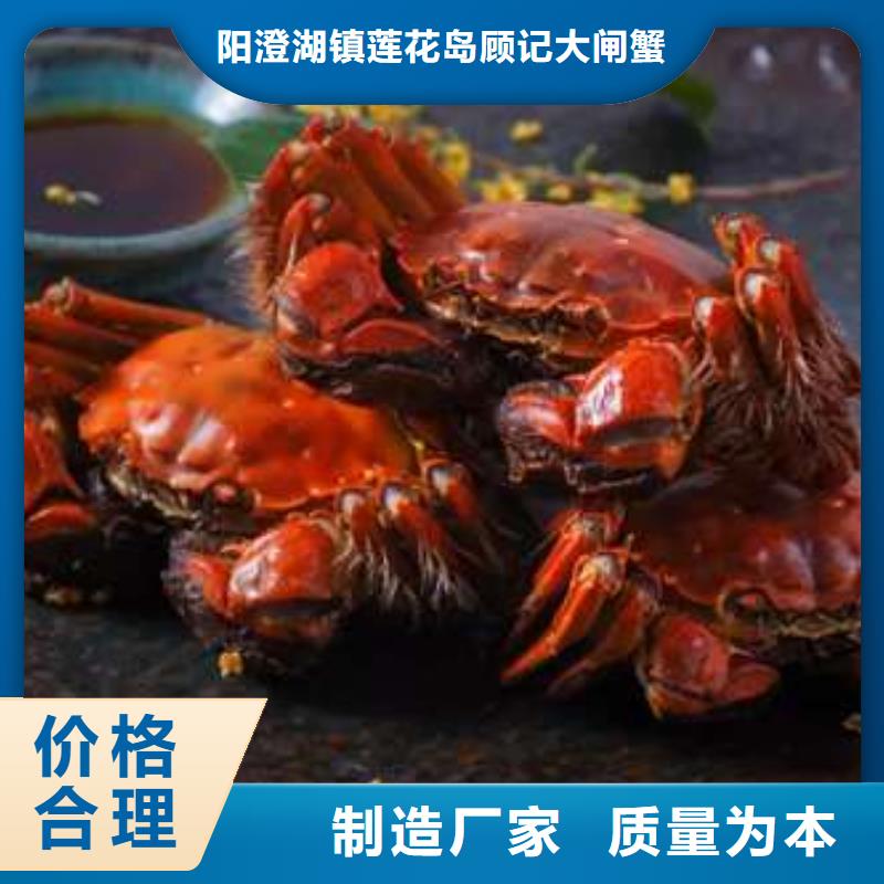 阳澄湖大闸蟹订购-视频-阳澄湖大闸蟹订购_广西省柳州市市场覆盖鹿寨|城中|梧州|贺州|钦州|来宾等