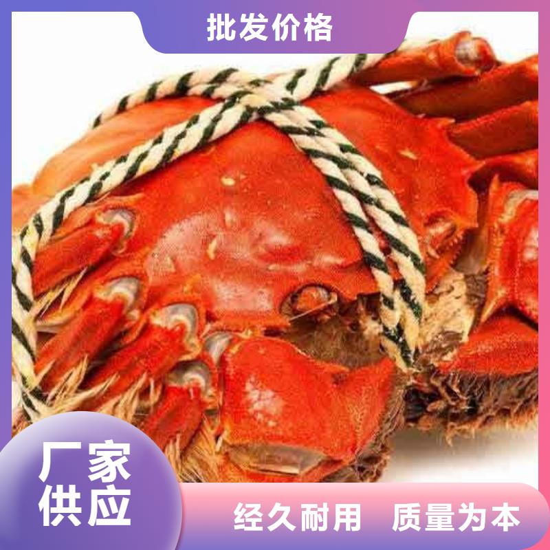 阳澄湖大闸蟹订购视频-阳澄湖大闸蟹订购|鞍山市|台安|铁东|营口|锦州|沈阳|朝阳|葫芦岛|辽阳|盘锦