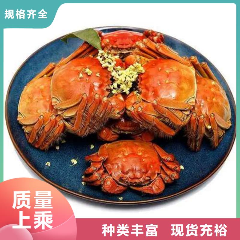阳澄湖大闸蟹订购视频-阳澄湖大闸蟹订购|鞍山市|台安|铁东|营口|锦州|沈阳|朝阳|葫芦岛|辽阳|盘锦