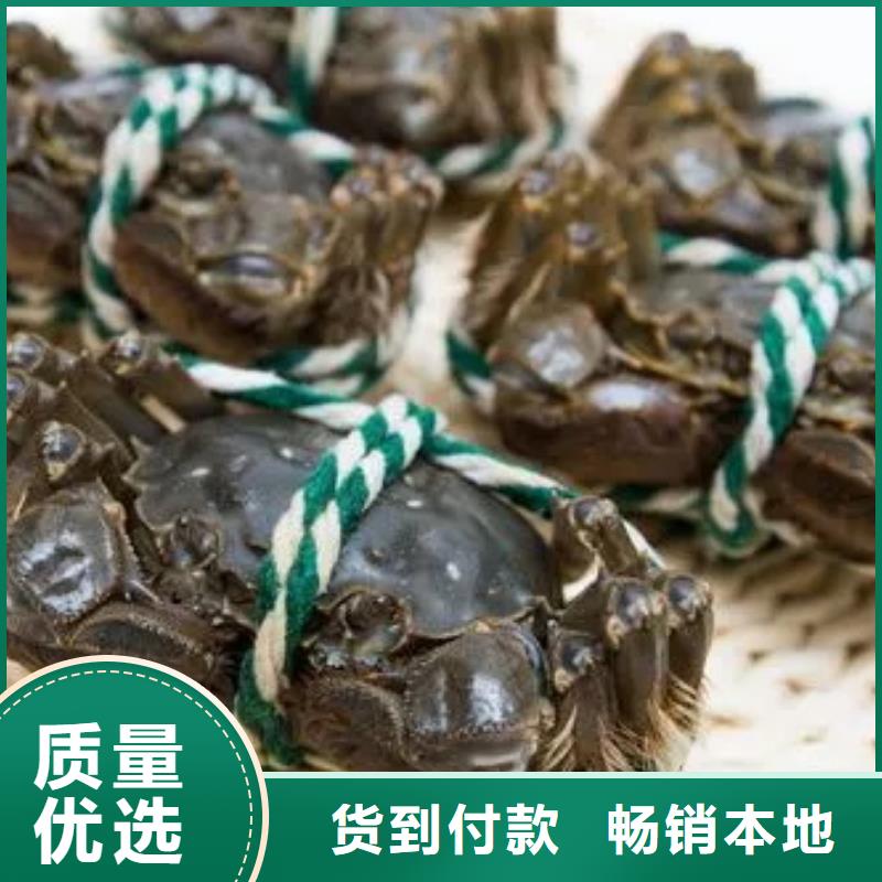 阳澄湖大闸蟹订购-视频-安徽省淮南市|谢家集|潘集|宣城|合肥|淮北|蚌埠|马鞍山|宿州|六安阳澄湖大闸蟹订购-顾记