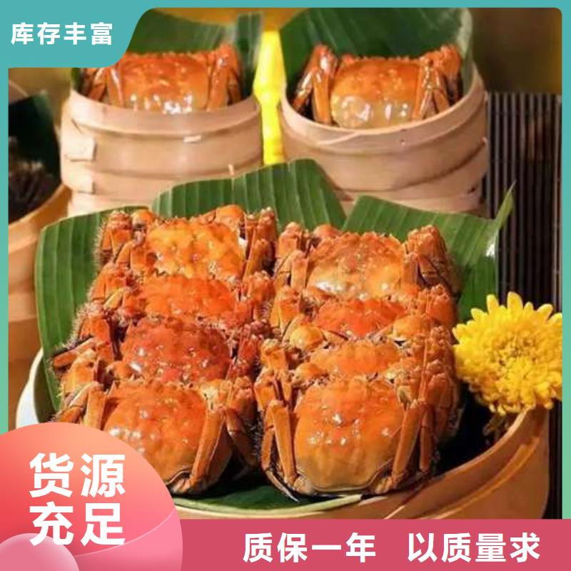 阳澄湖大闸蟹订购视频-阳澄湖大闸蟹订购|鞍山市|台安|铁东|营口|锦州|沈阳|朝阳|葫芦岛|辽阳|盘锦