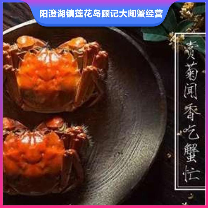 阳澄湖大闸蟹订购-视频-阳澄湖大闸蟹订购_广西省柳州市市场覆盖鹿寨|城中|梧州|贺州|钦州|来宾等