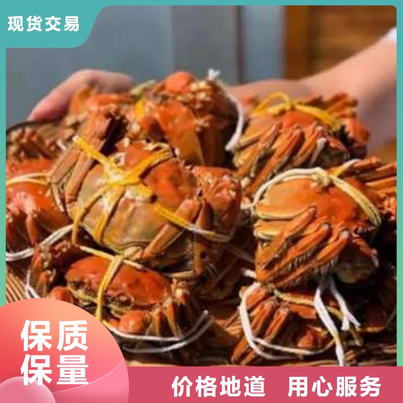 阳澄湖大闸蟹订购视频-阳澄湖大闸蟹订购|鞍山市|台安|铁东|营口|锦州|沈阳|朝阳|葫芦岛|辽阳|盘锦