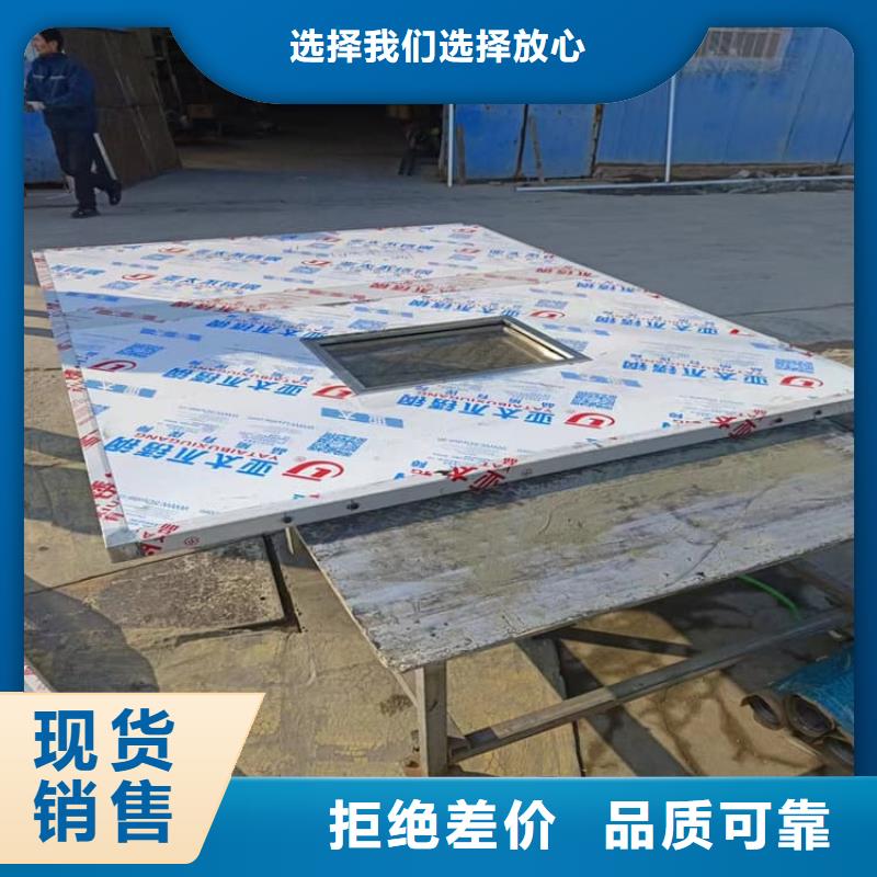 防辐射电动铅门生产直销