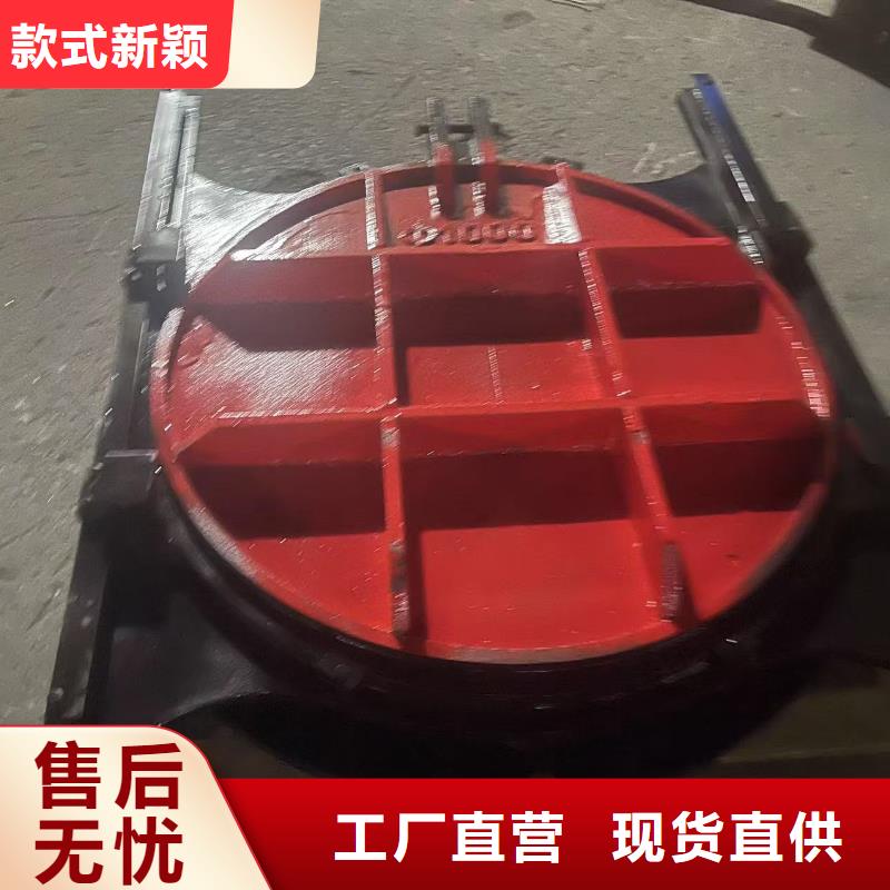 铸铁镶铜闸门-止水带橡胶一站式