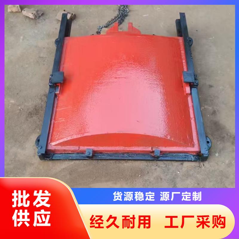 渠道闸门-单向止水铸铁闸门售后无忧