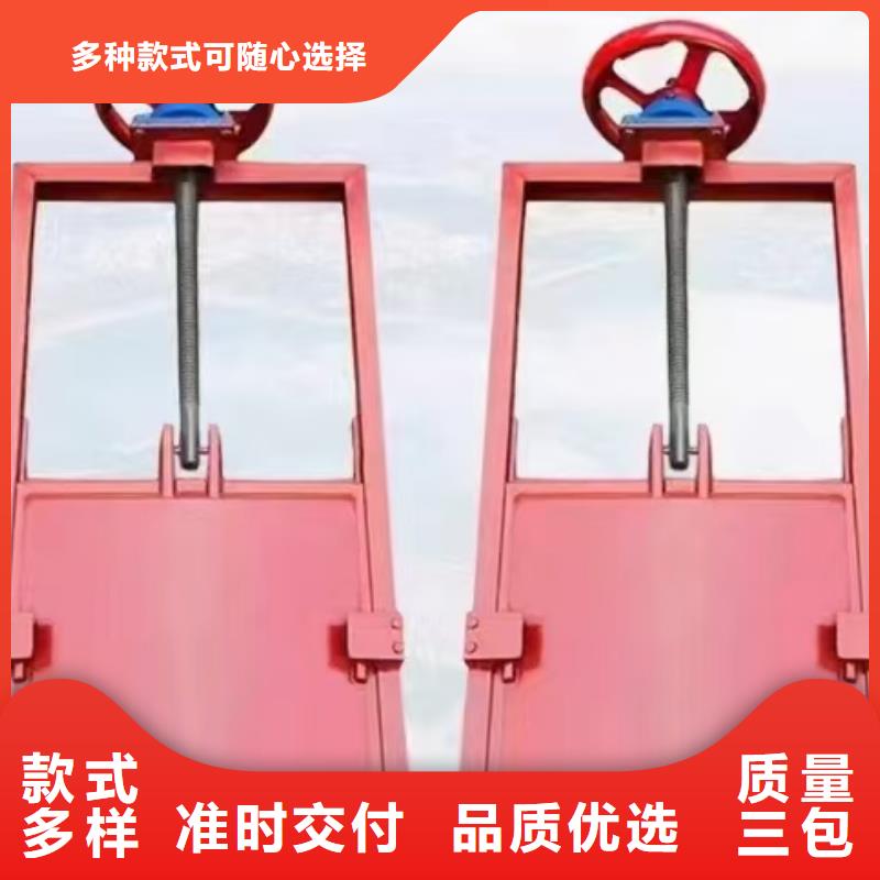 铸铁闸门-PZ平板平面双向止水铸铁闸门实力雄厚