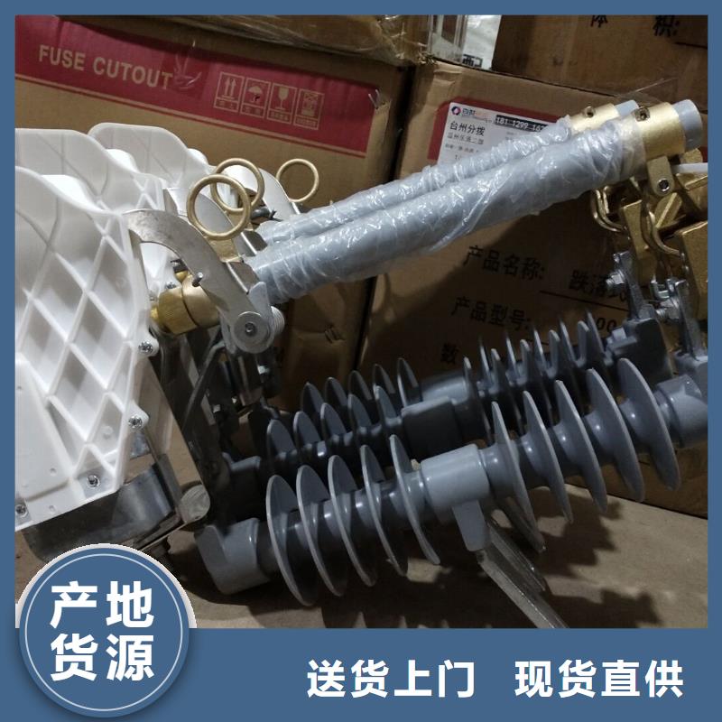 高压熔断器/PRWG1-10F【浙江羿振电气有限公司】