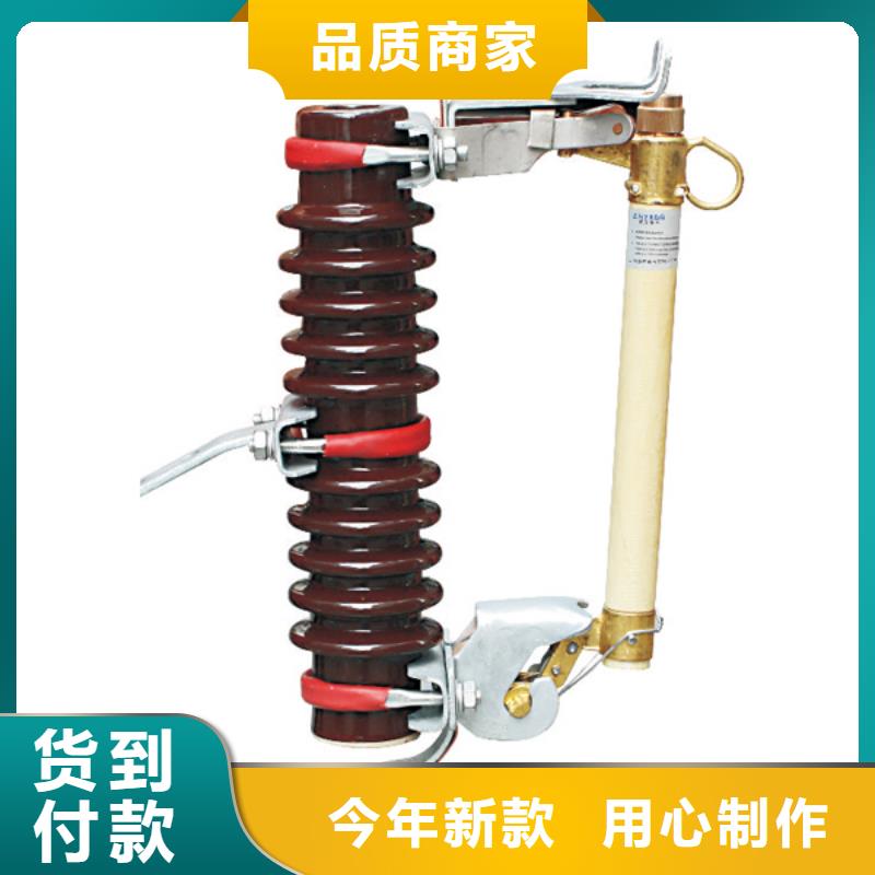 高压熔断器/HRW12-15KV/100A