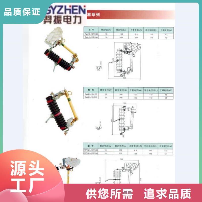 【东方市】高压熔断器HRW12-10/100