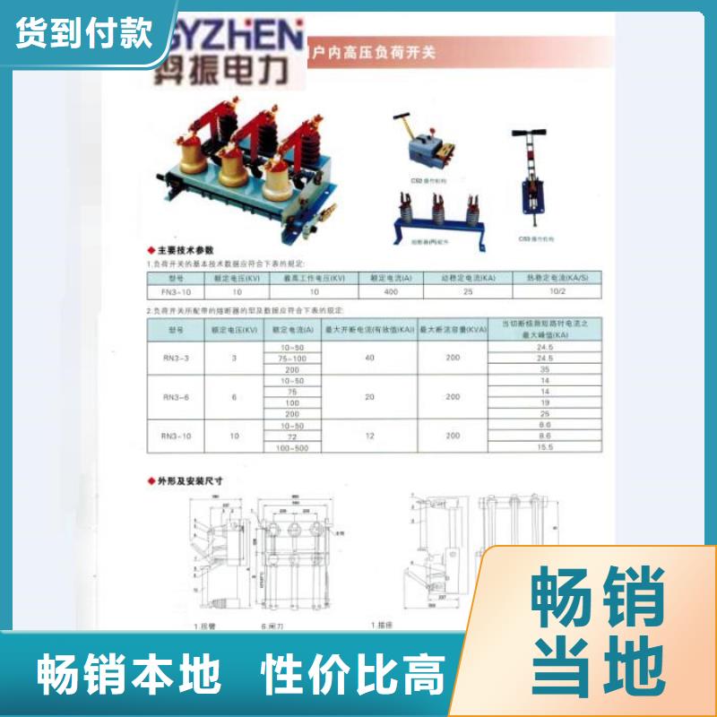 高压熔断器/JD2-15F/100A