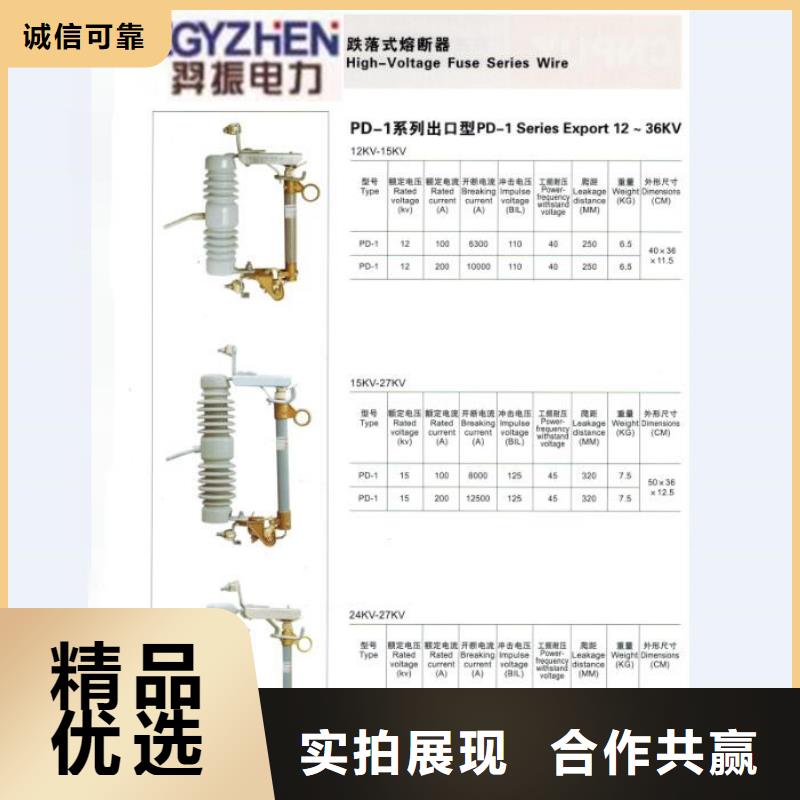 跌落式熔断器PRW12-15/200A