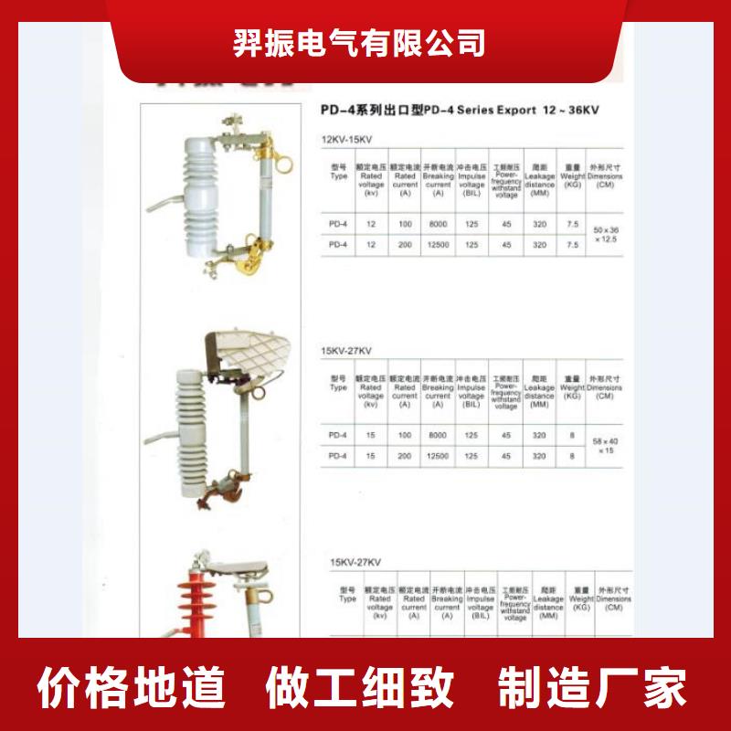 高压熔断器/RW10-10KV/200A