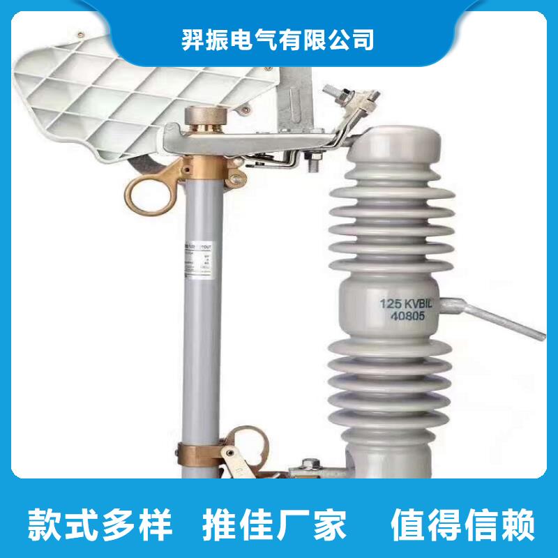 高压熔断器-跌落保险PRW12-10KV/100A