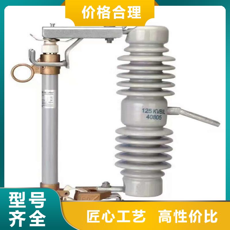 高压熔断器/RW5-63/200A