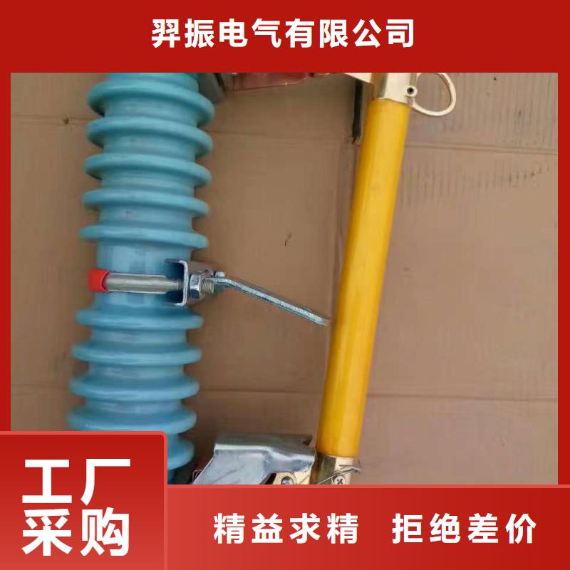 高压熔断器/HRW12-15KV/100A