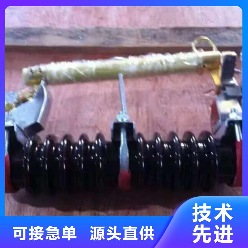 高压熔断器/RW5-66