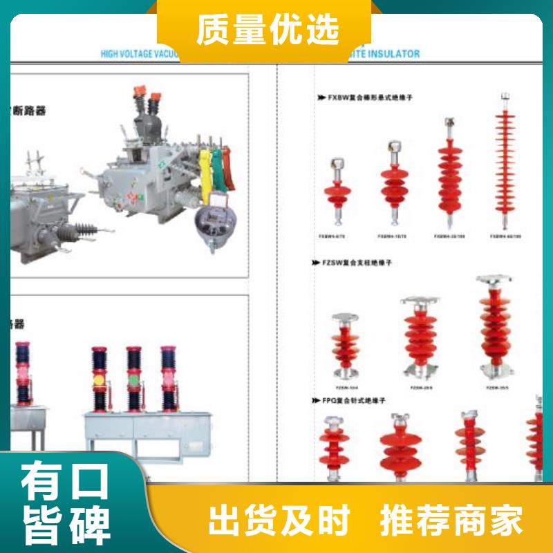 【羿振电气】ZS2-20/800支柱绝缘子