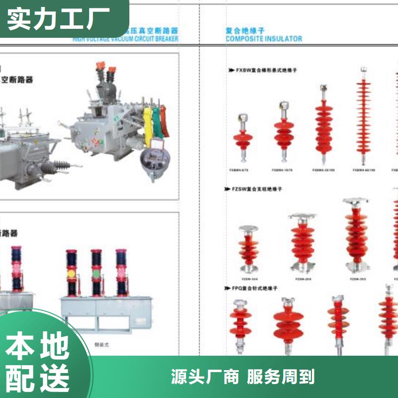 高压熔断器-HRW12-24KV-100A