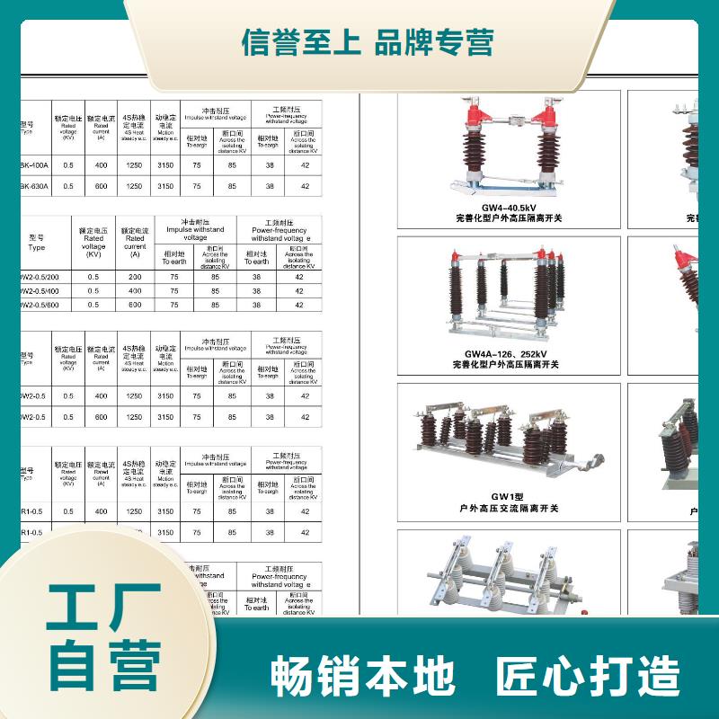 -绝缘子ZSW2-10/10