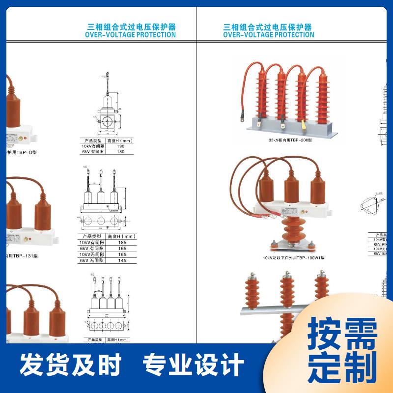 FN21-12D/125-31.5,FN21-10D/125-31.5【浙江羿振电气有限公司】