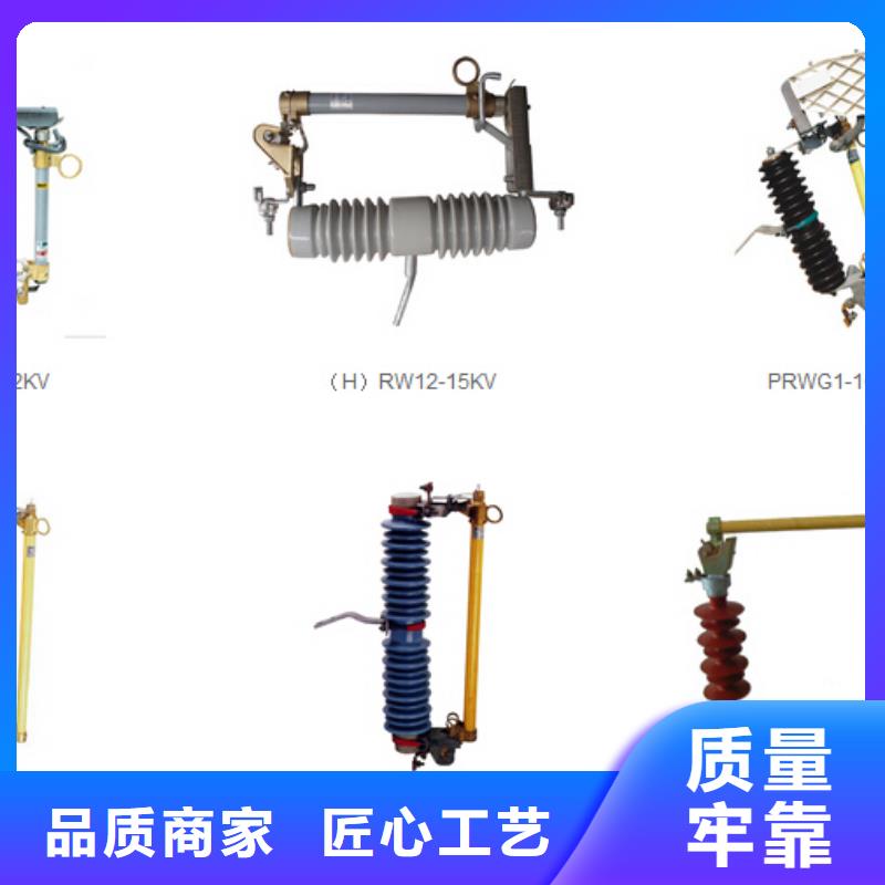 高压熔断器-RW11-12F/100