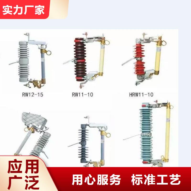 高压熔断器-HPRWG1-12F/100