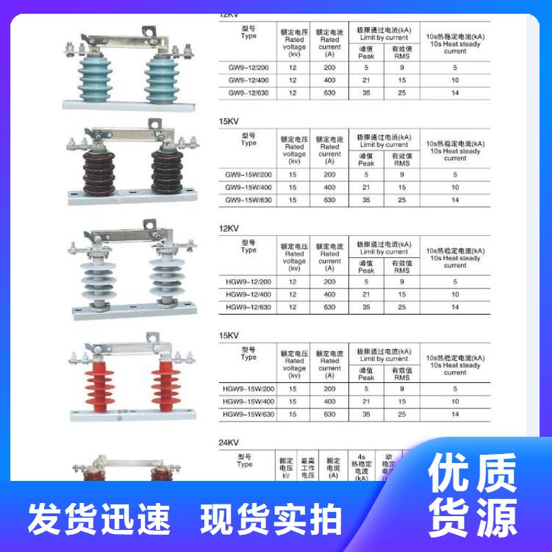 高压熔断器-RW4-12/100