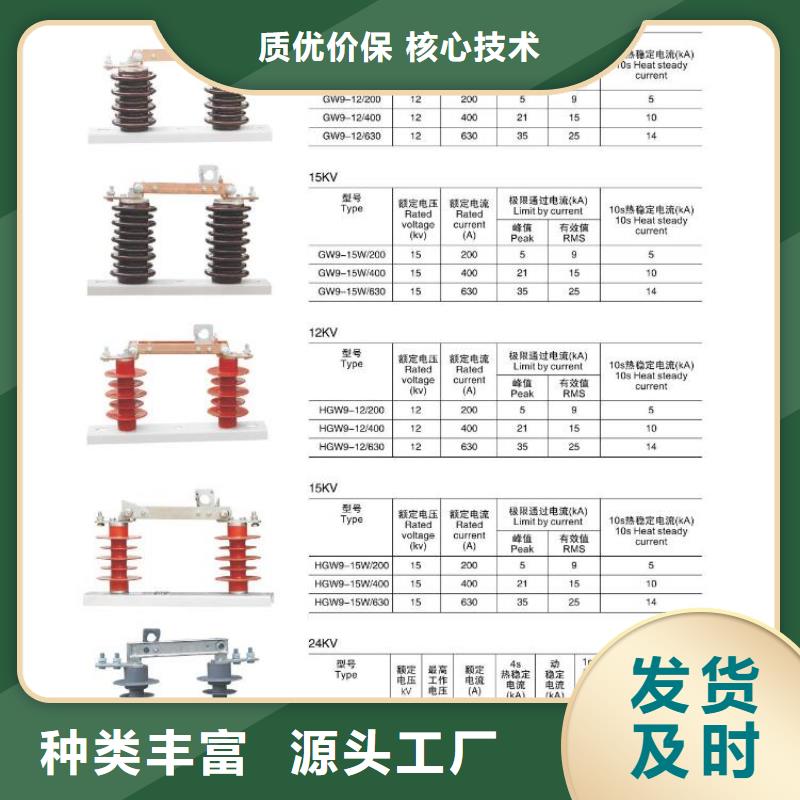 -高压熔断器-RW11-12F/200A-HRW11-12F/200A