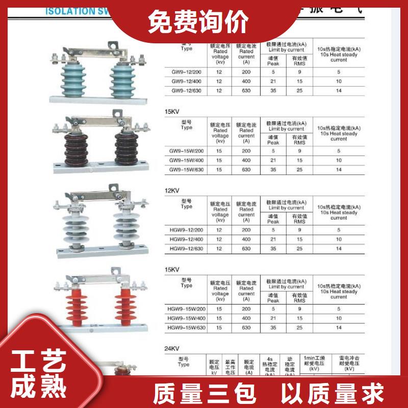 高压熔断器-RW4-12/100