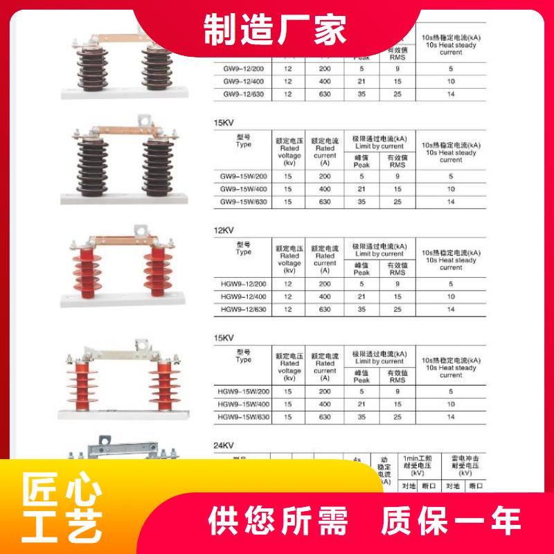 高压熔断器-PRW-24/100A