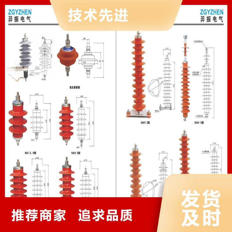 金属氧化物避雷器Y10W5-90/224