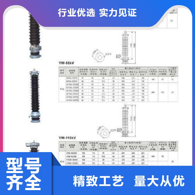 避雷器Y10W-108/281浙江羿振电气有限公司