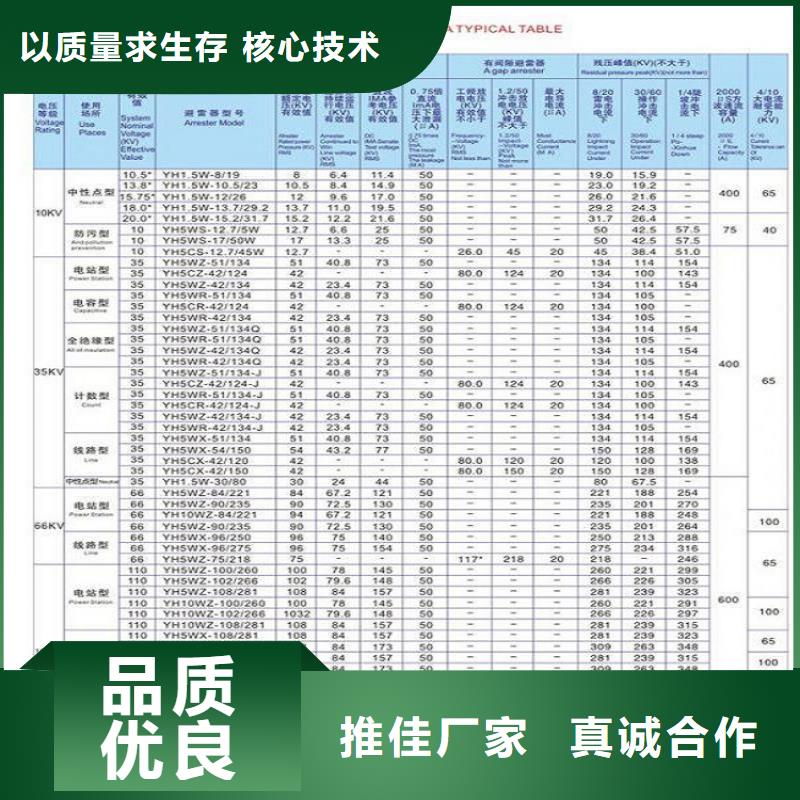 氧化锌避雷器YH5CX5-96/250【上海羿振电力设备有限公司】