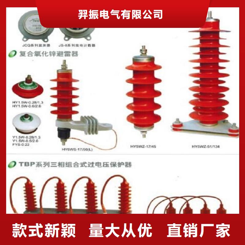 【浙江省温州市乐清市柳市镇】氧化锌避雷器Y10W-200/496生产厂家