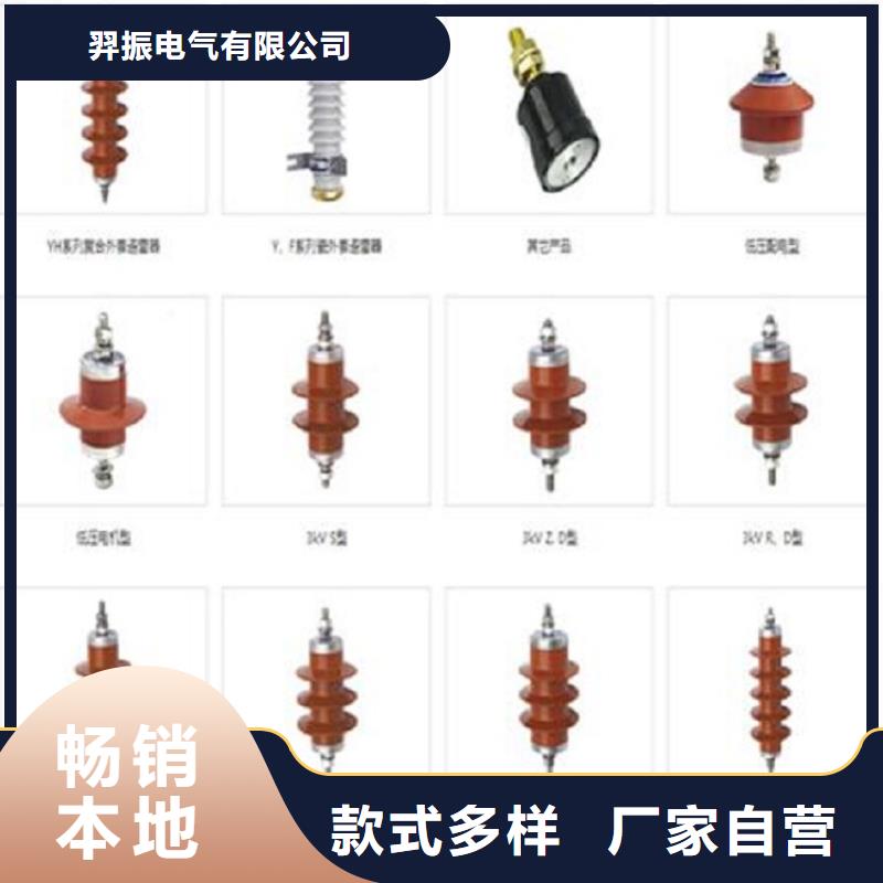 金属氧化物避雷器HY1.5W-31/81