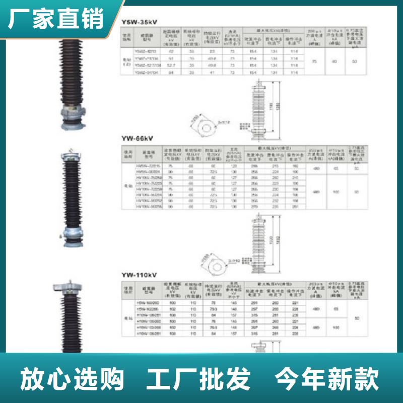 金属氧化物避雷器YH1.5W-31/81