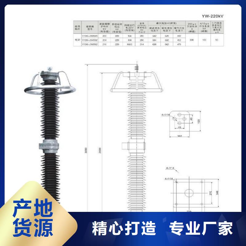 HY5WS-10/30氧化锌避雷器.