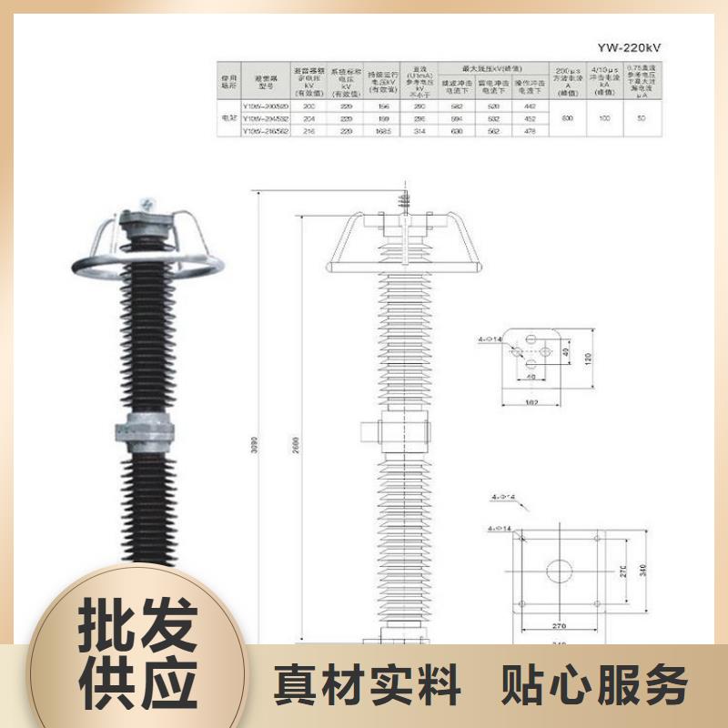 氧化锌避雷器HY10CX4-100/260J规格齐全