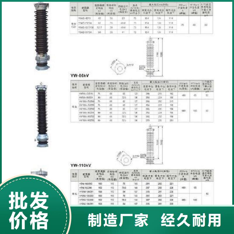 避雷器Y10W-100/260【羿振电气】